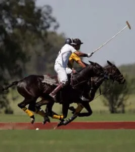 Plan South America | Field Notes | December in South America - Polo