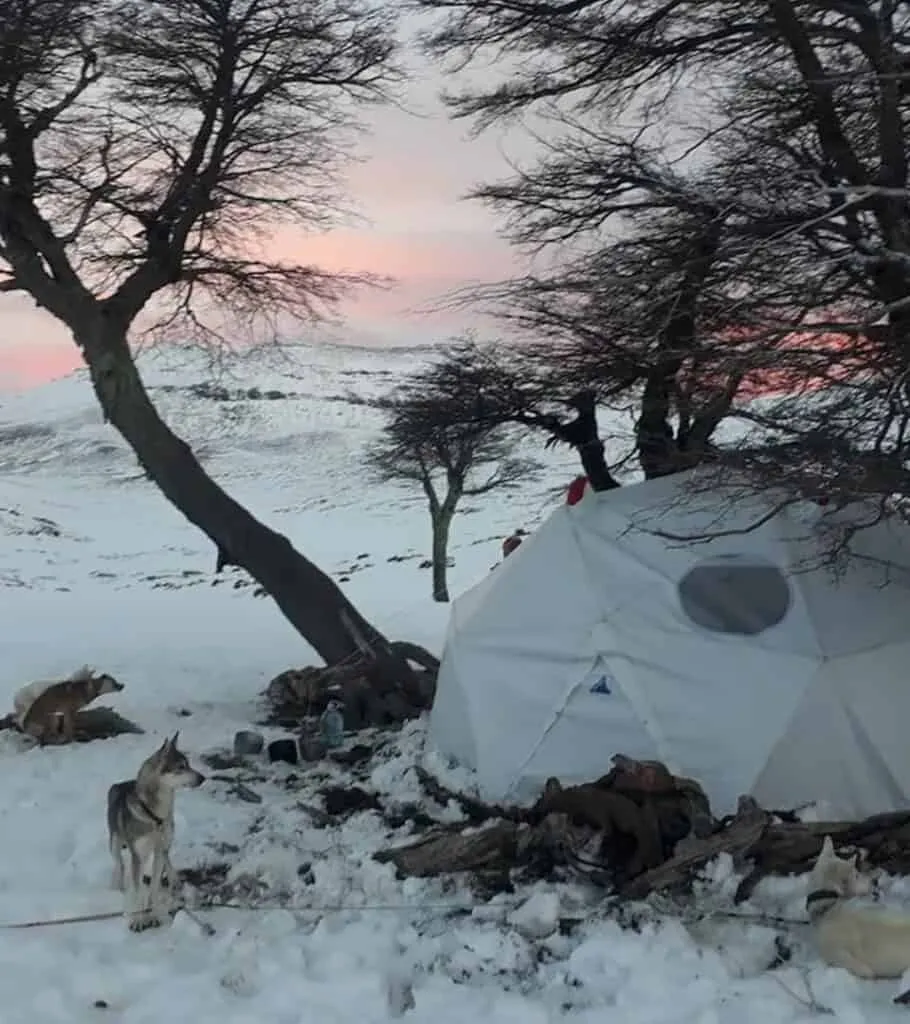Plan South America | Field Notes | Huskies and Horses in Wild Patagonia