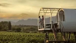 Plan South America | Field Notes | Vendimia | Mendoza Wine Harvest Festival