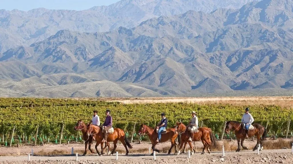 Plan South America | Field Notes | Cathy Brown's Expert Advice on Mendoza, Argentina