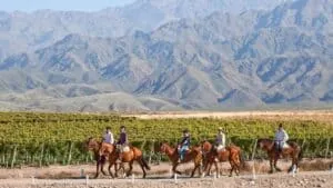Plan South America | Field Notes | Cathy Brown's Expert Advice on Mendoza, Argentina