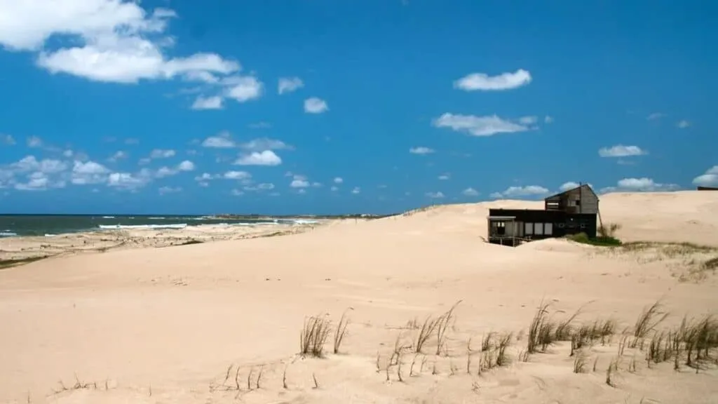 Plan South America | Field Notes | Tarajia Morell's Inside Track On Uruguay