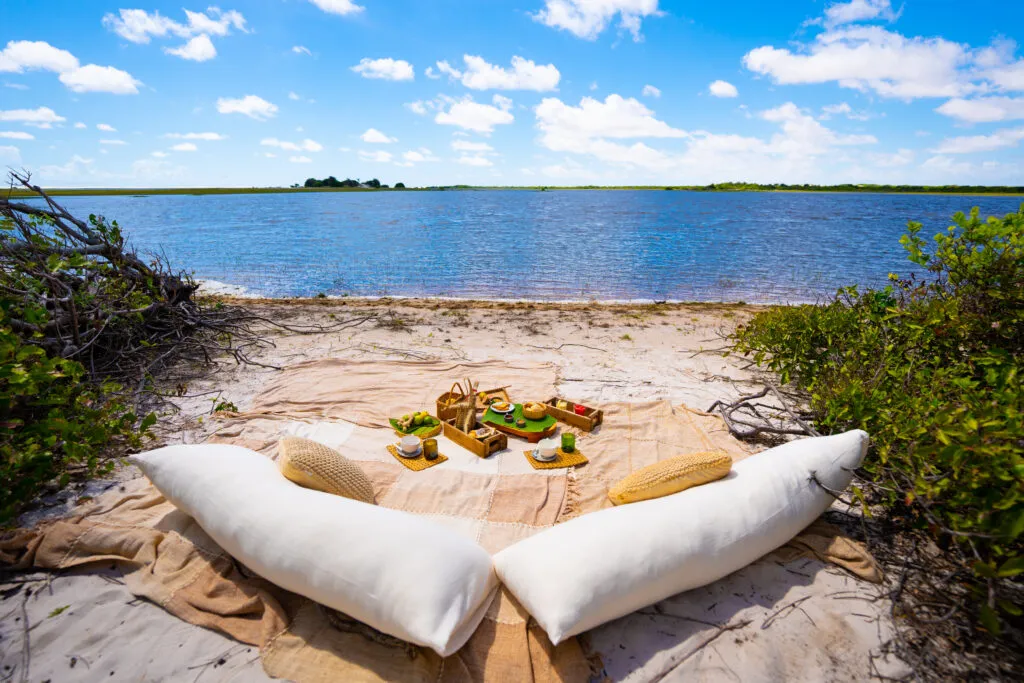 Picnicking by the dunes