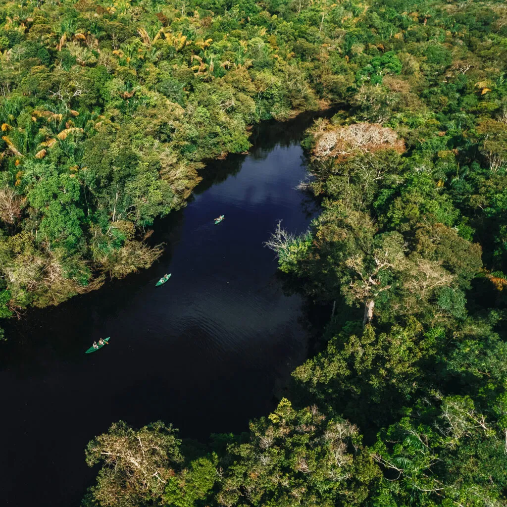Anavilhanas Lodge, Brazilian Amazon