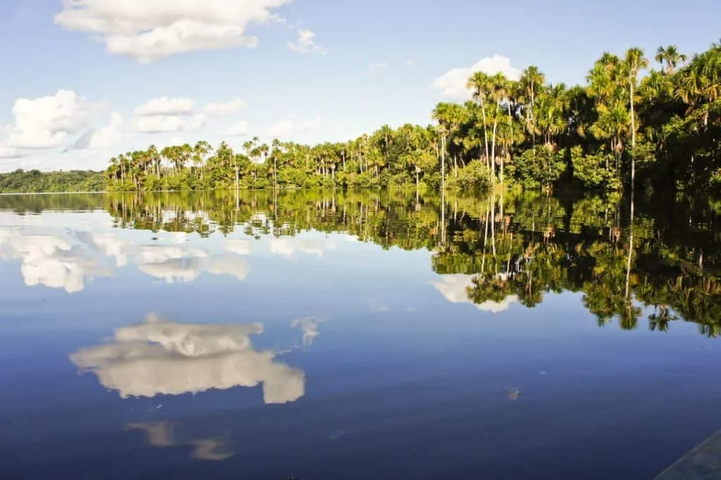 The Peruvian Amazon | Peru | Plan South America