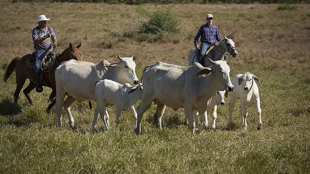 Plan South America | Field Notes | Floriana Acosta