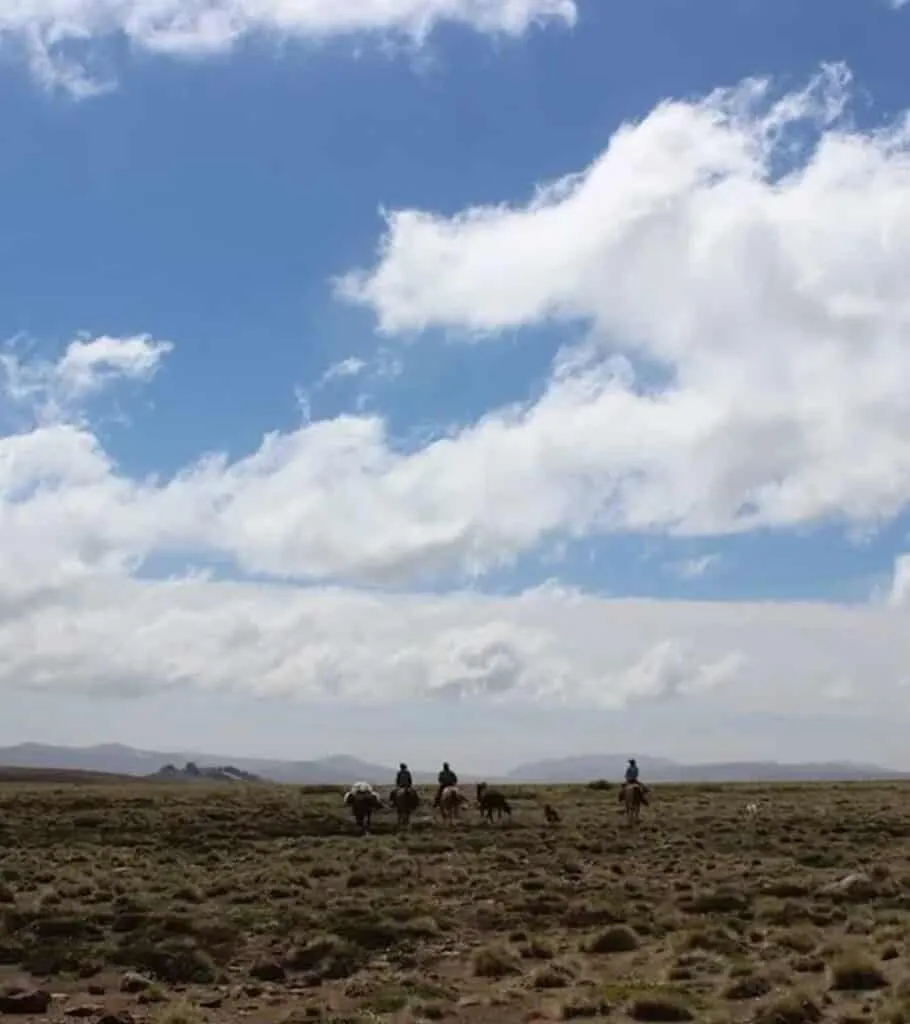 Plan South America | Field Notes | Huskies and Horses in Wild Patagonia
