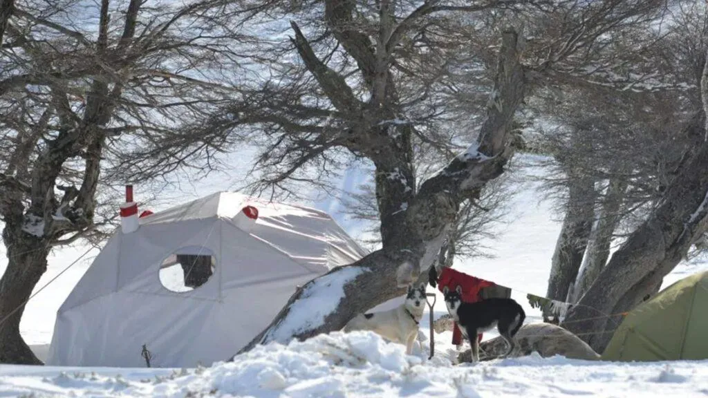 Plan South America | Field Notes | Huskies and Horses in Wild Patagonia