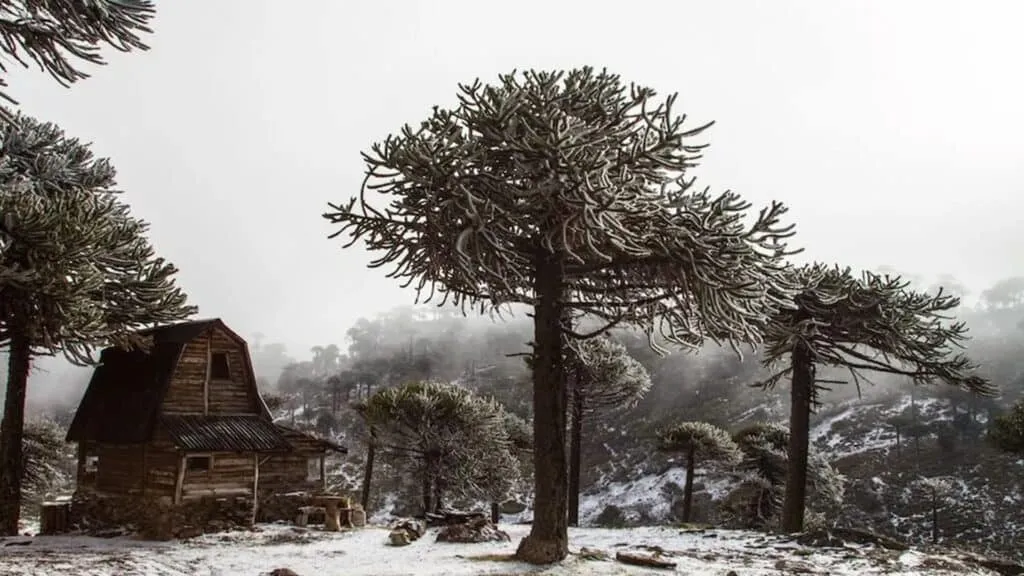 Plan South America | Field Notes | Huskies and Horses in Wild Patagonia
