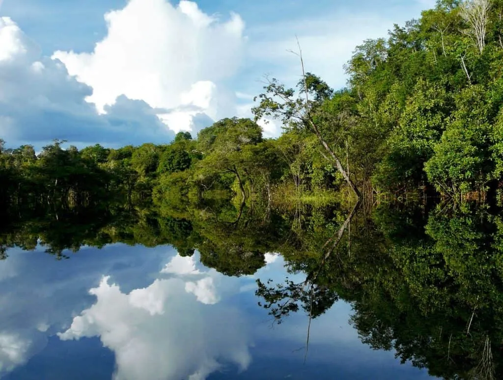The Peruvian Amazon | Peru | Plan South America