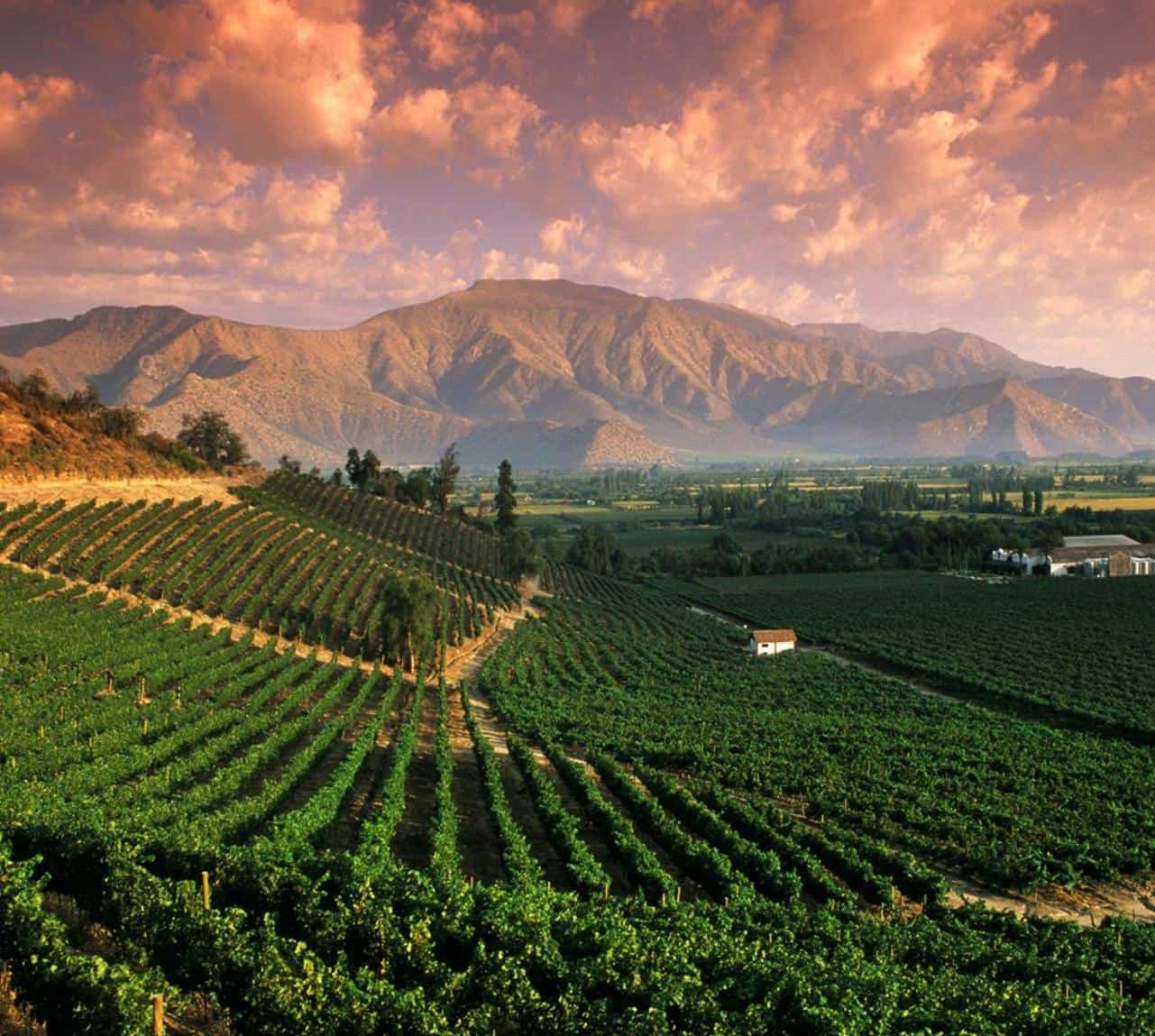 Mendoza Vineyards | Plan South America