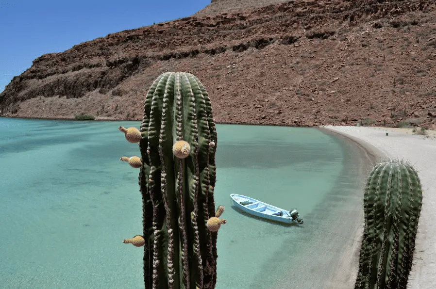 Baja California, Mexico | South America Adventures