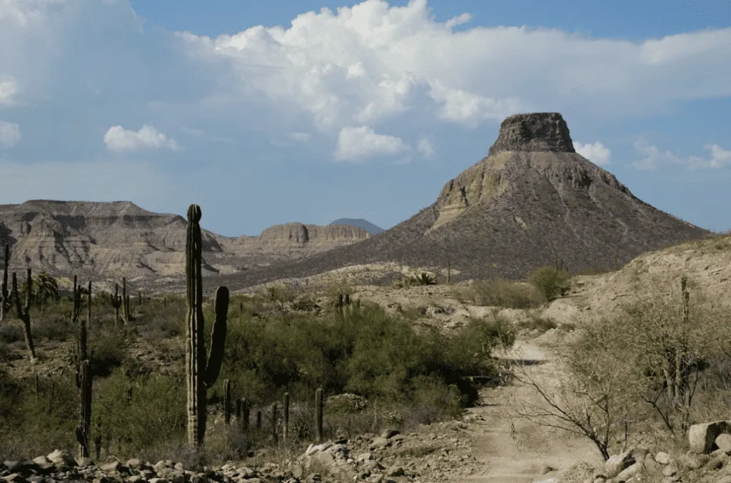 Baja California, Mexico | South America Adventures