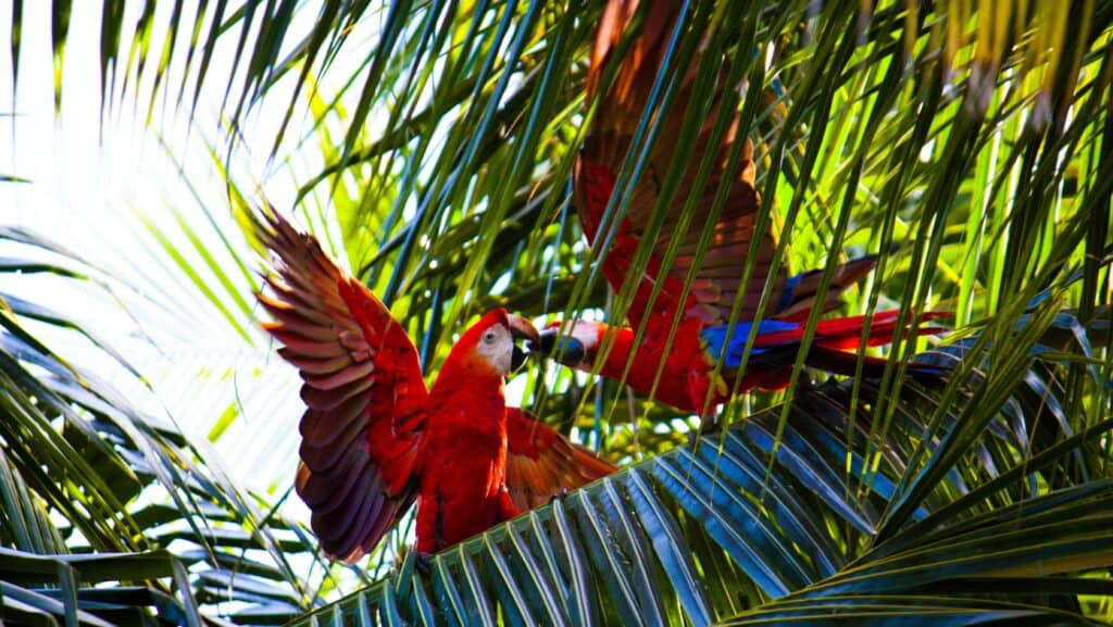Costa Rica