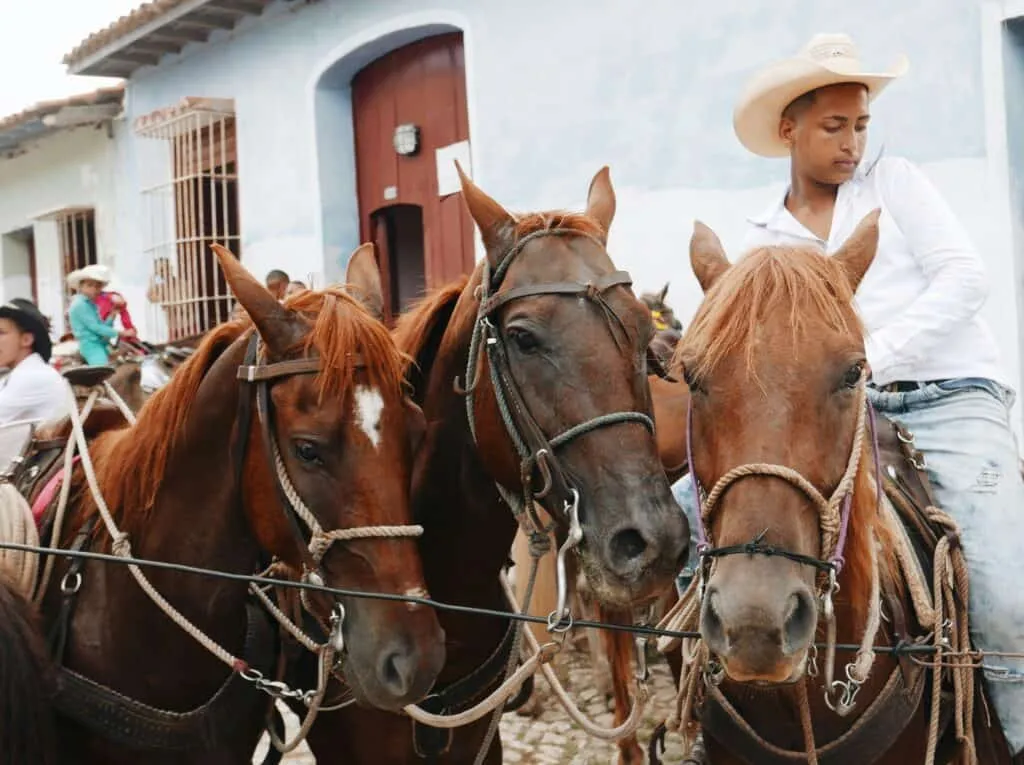 Viñales | Vinales | Horse Riding Holidays | Cuba Holidays