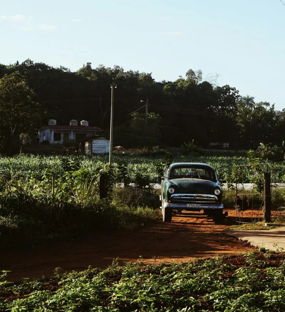 Viñales