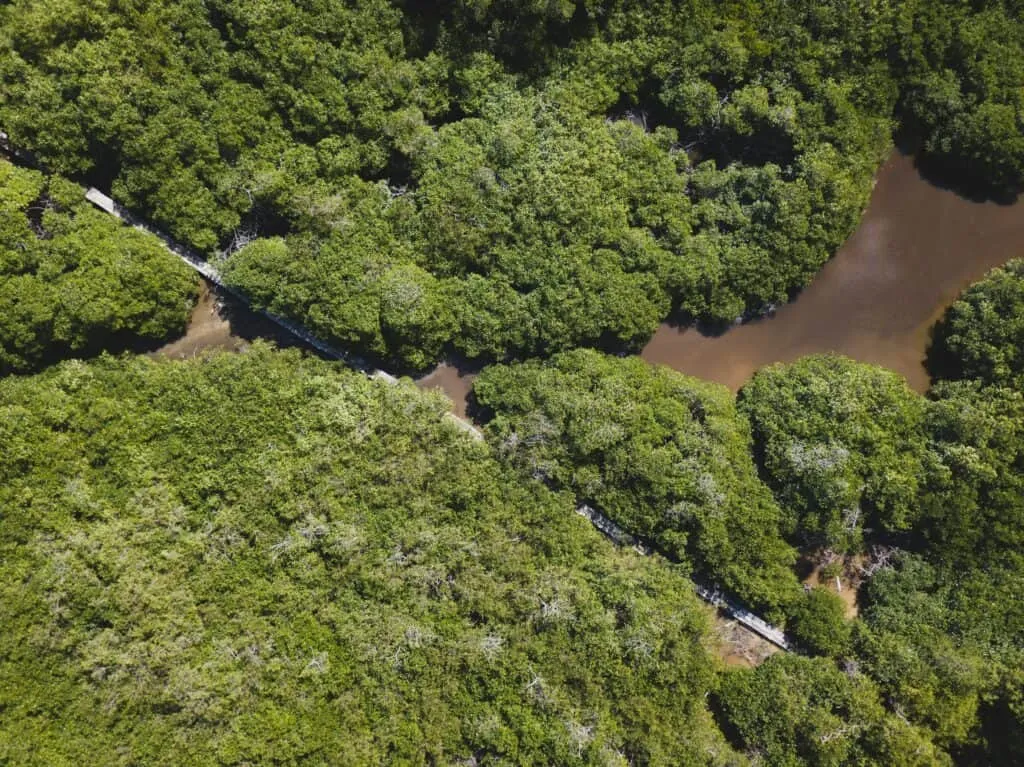 Costa Rica Holidays | The Central Valley | South America