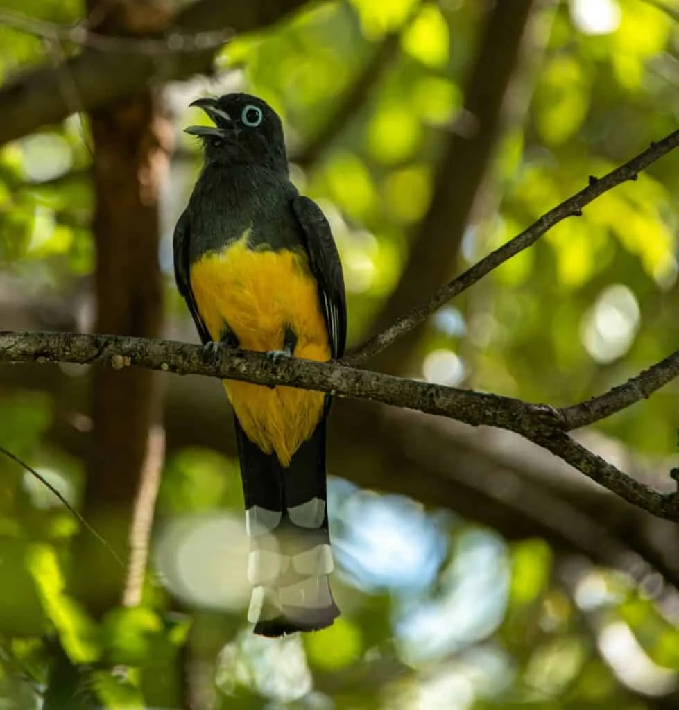 Costa Rica Holidays | Guanacaste | South America