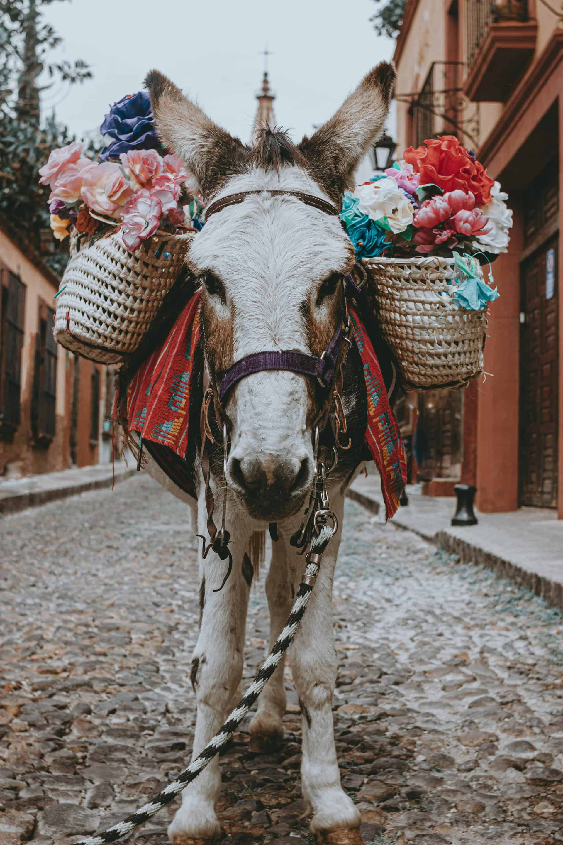 Mexico Holidays | Luxury Travel Consultancy | Mexico Specialists