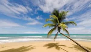 Dominican Republic | Perfect Beach | Plan South America