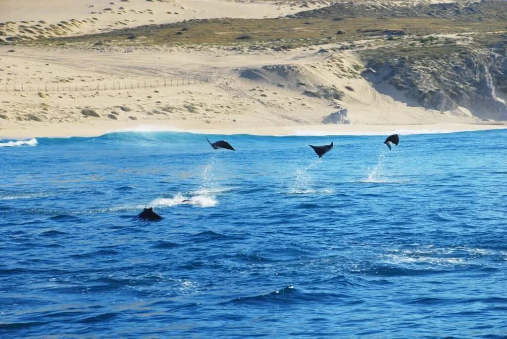 Baja California, Mexico | South America Adventures