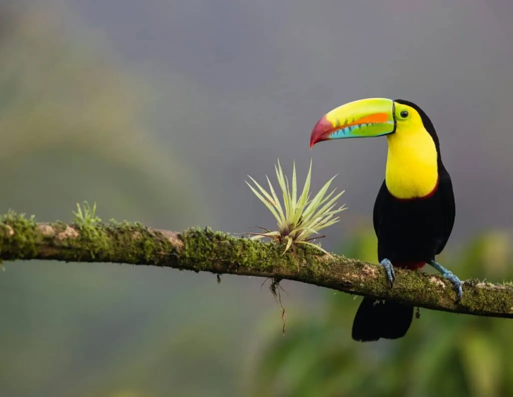 Costa Rica Holidays | Nicoya Peninsula | South America