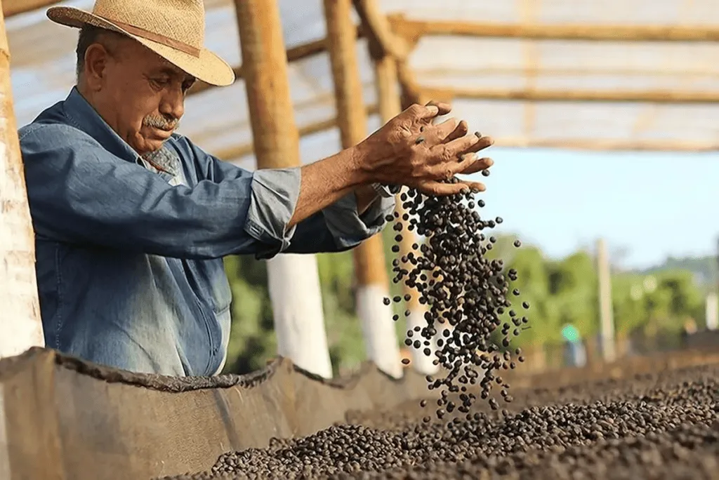 Boquete Flower & Coffee Festival