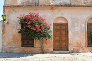 Colonia del Sacramento and Carmelo