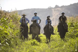 Matetoc | Horseback riding | Riders in a cornfield