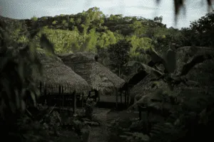 Naku Ecuador Amazon