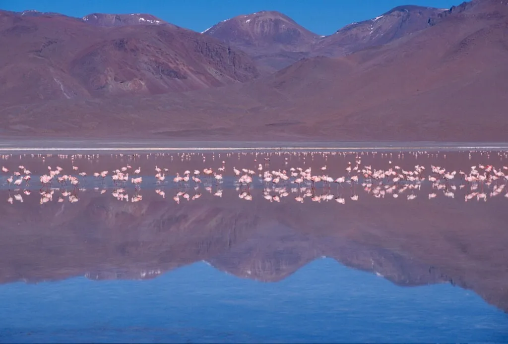 Plan South America | Bolivia | Uyuni Salt Flats