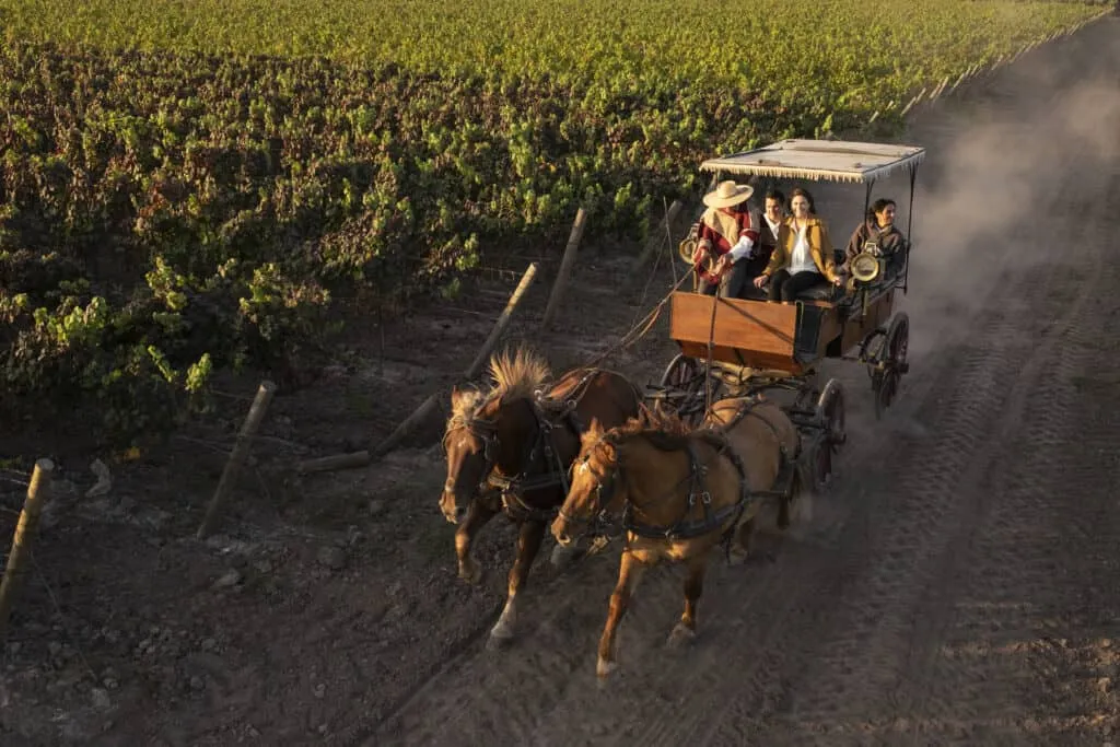 Plan South America | Chile | Wine Country