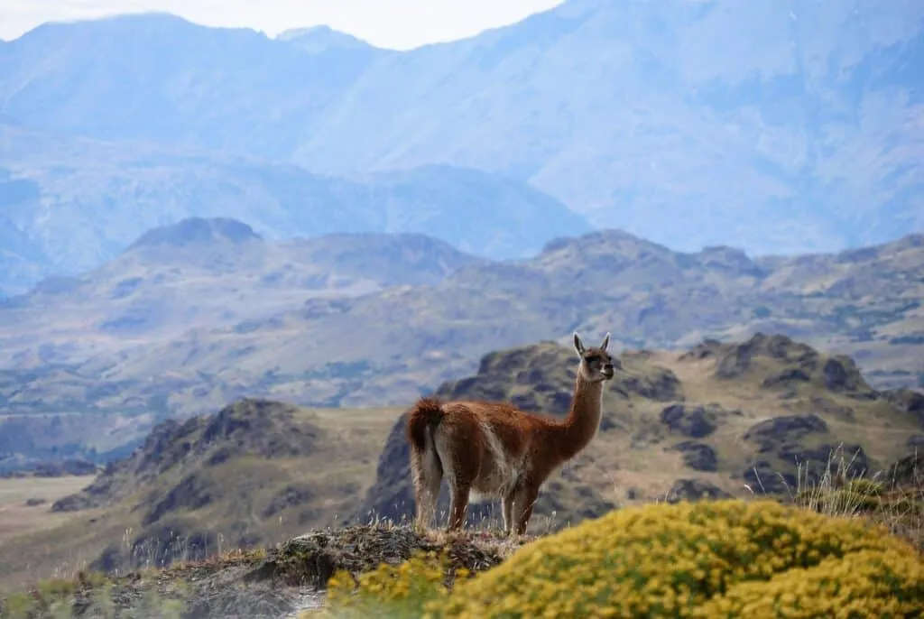 Plan South America | Chile | Northern Patagonia