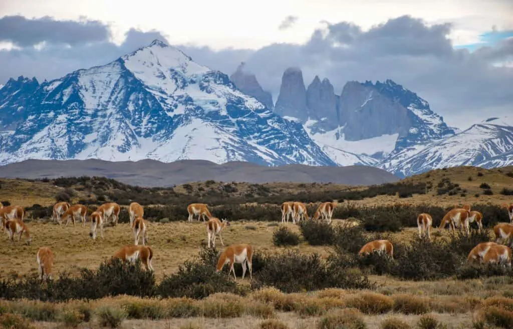 Patagonia Holidays | Patagonia, South America