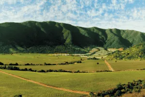 Plan South America | Chile | Wine Tours