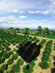Plan South America | Colombia | Coffee Triangle