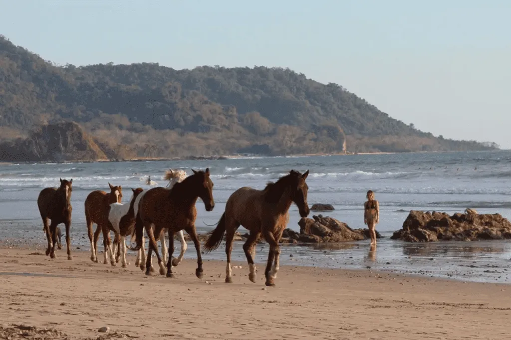Costa Rica Holidays | Nicoya Peninsula | South America