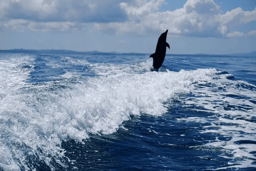 Costa Rica Holidays | Osa Peninsula | South America