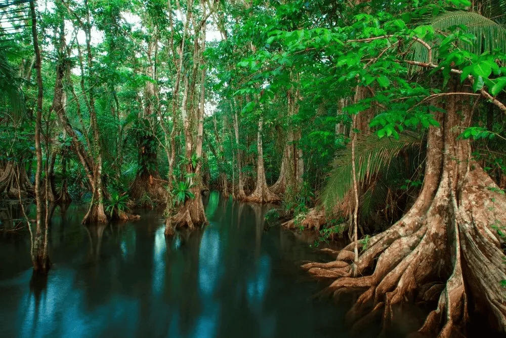Osa Peninsula | Costa Rica Vacations | South America