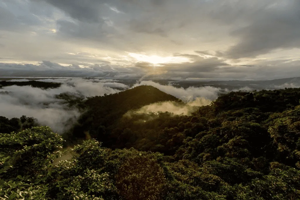 Tumbes-Chocó-Magdalena | Ecuador | South America holidays