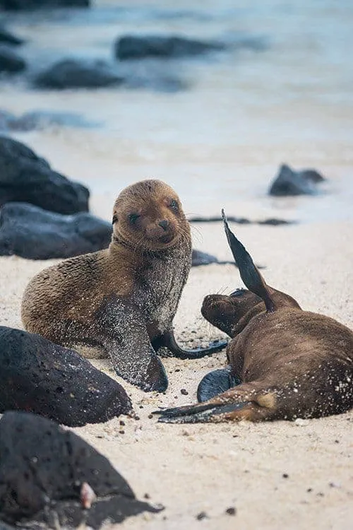 Galapagos Islands | Yacht Charter | Luxury Holidays