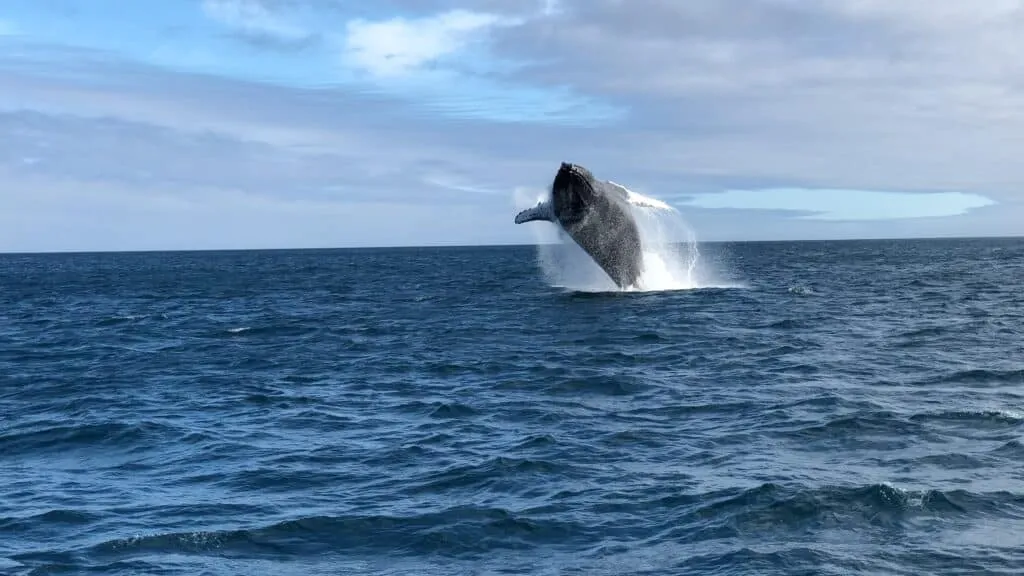 Galapagos Islands | Yacht Charter | Luxury Holidays