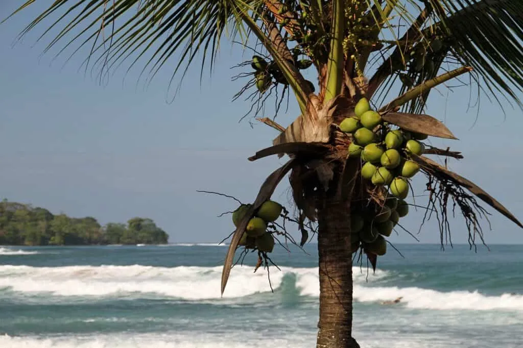 Bocas del Toro | Panama Holidays | Luxury Travel South America