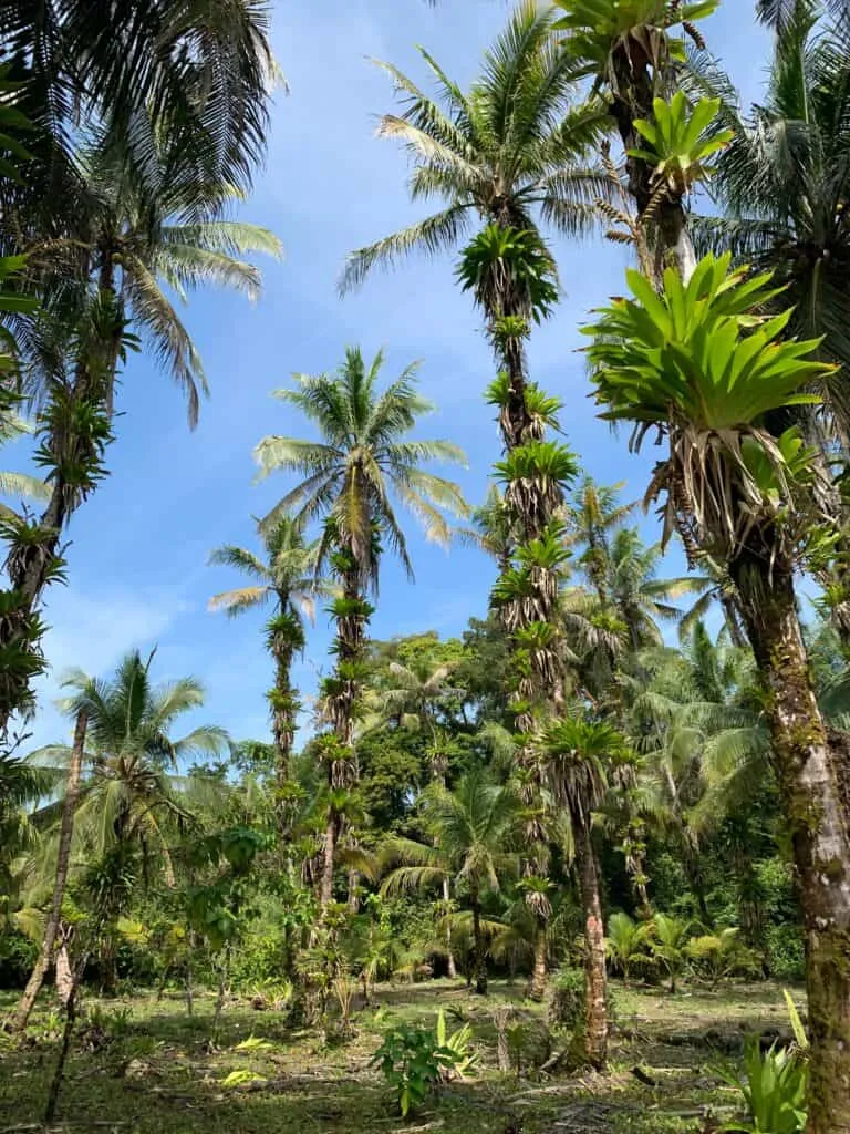 Bocas del Toro | Panama Holidays | Luxury Travel South America