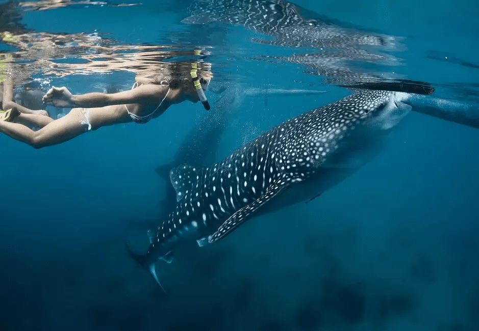Bocas del Toro | Panama Holidays | Luxury Travel South America