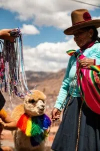 Plan South America | Peru | Cusco | Woman in Traditional Dress with Alpaca