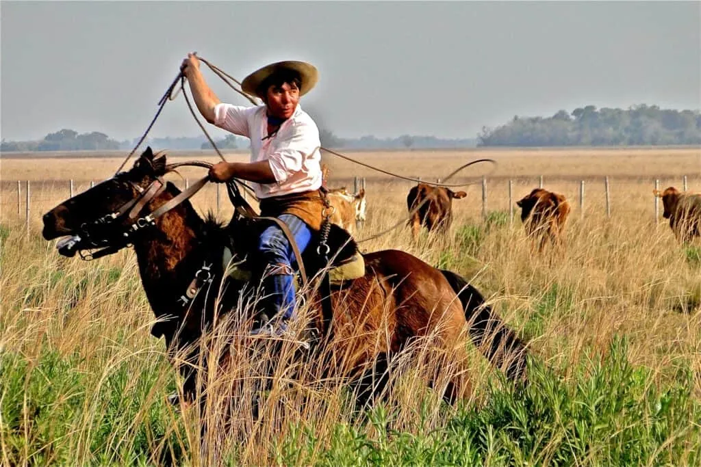 Argentina Holidays | Cruce del Estero Gaucho | South America