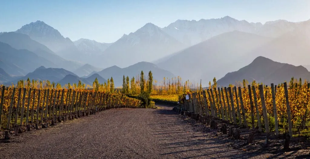 Visit Mendoza for Vendimia