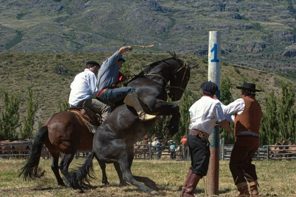 Watch the Jineteada Gaucha