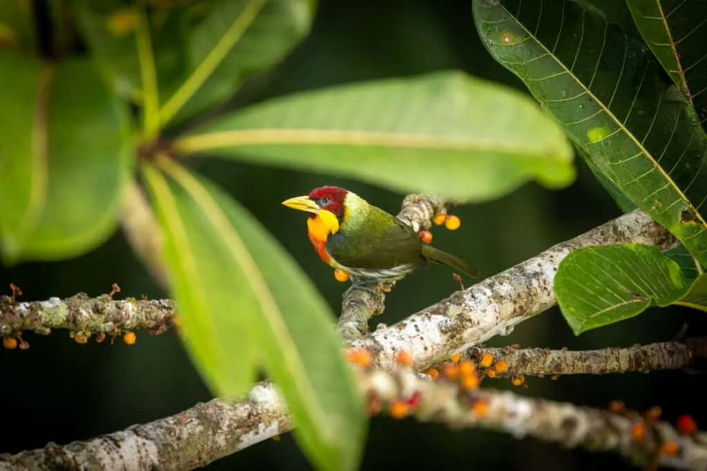 Alta Sanctuary | South America Luxury Travel